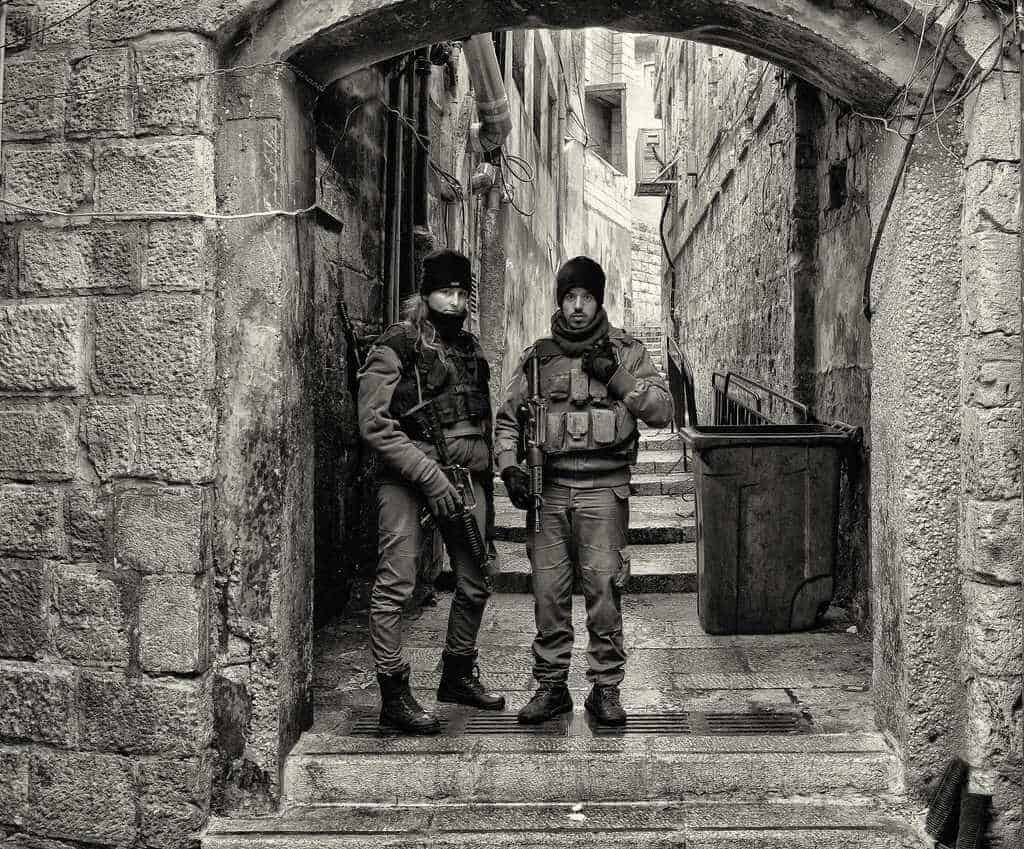 On Patrol Award Winning Photography Auckland