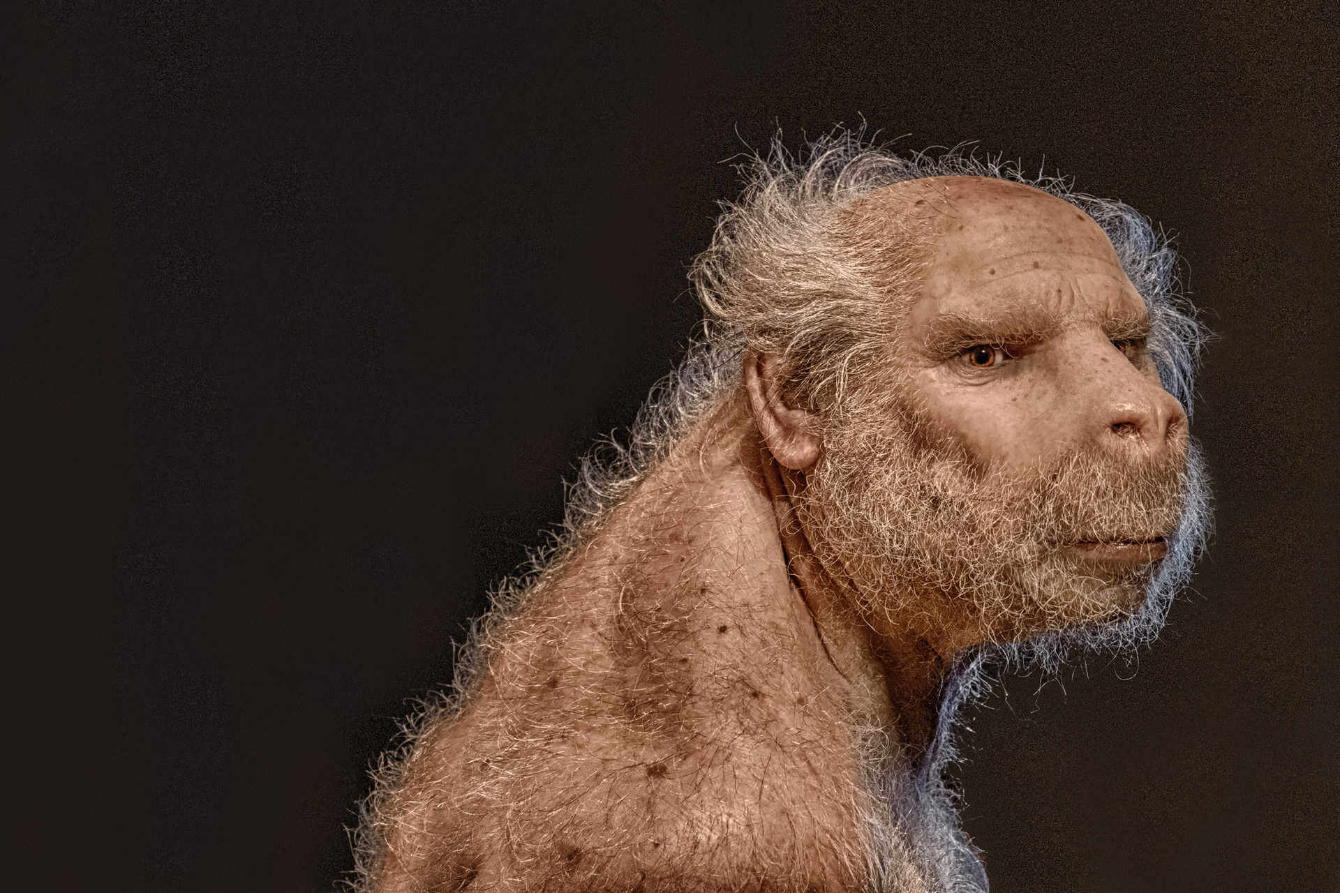 The Look Fine Art Photography Auckland