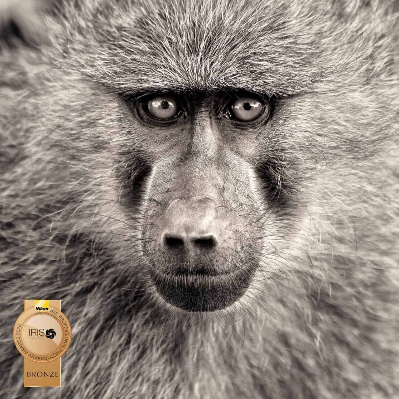 Award winning professional photographer Auckland Award winning professional photographer Auckland