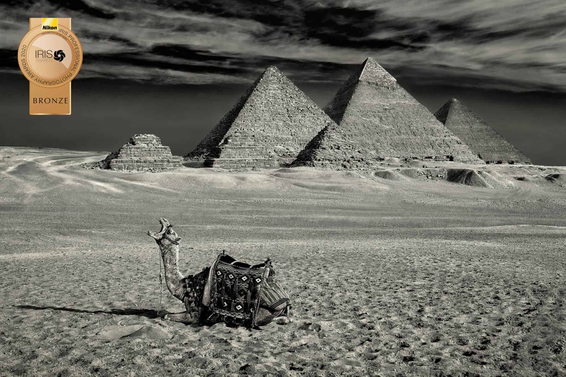 Award winning professional photographer Auckland Award winning professional photographer Auckland