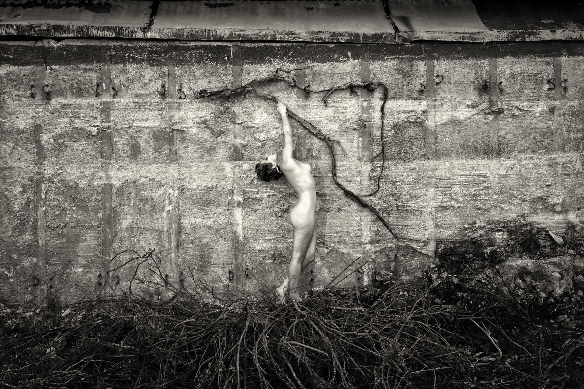 Nude Photography Auckland