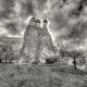 Fairy Chimneys Goreme, Turkey