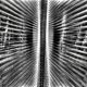 Fine Art Photography