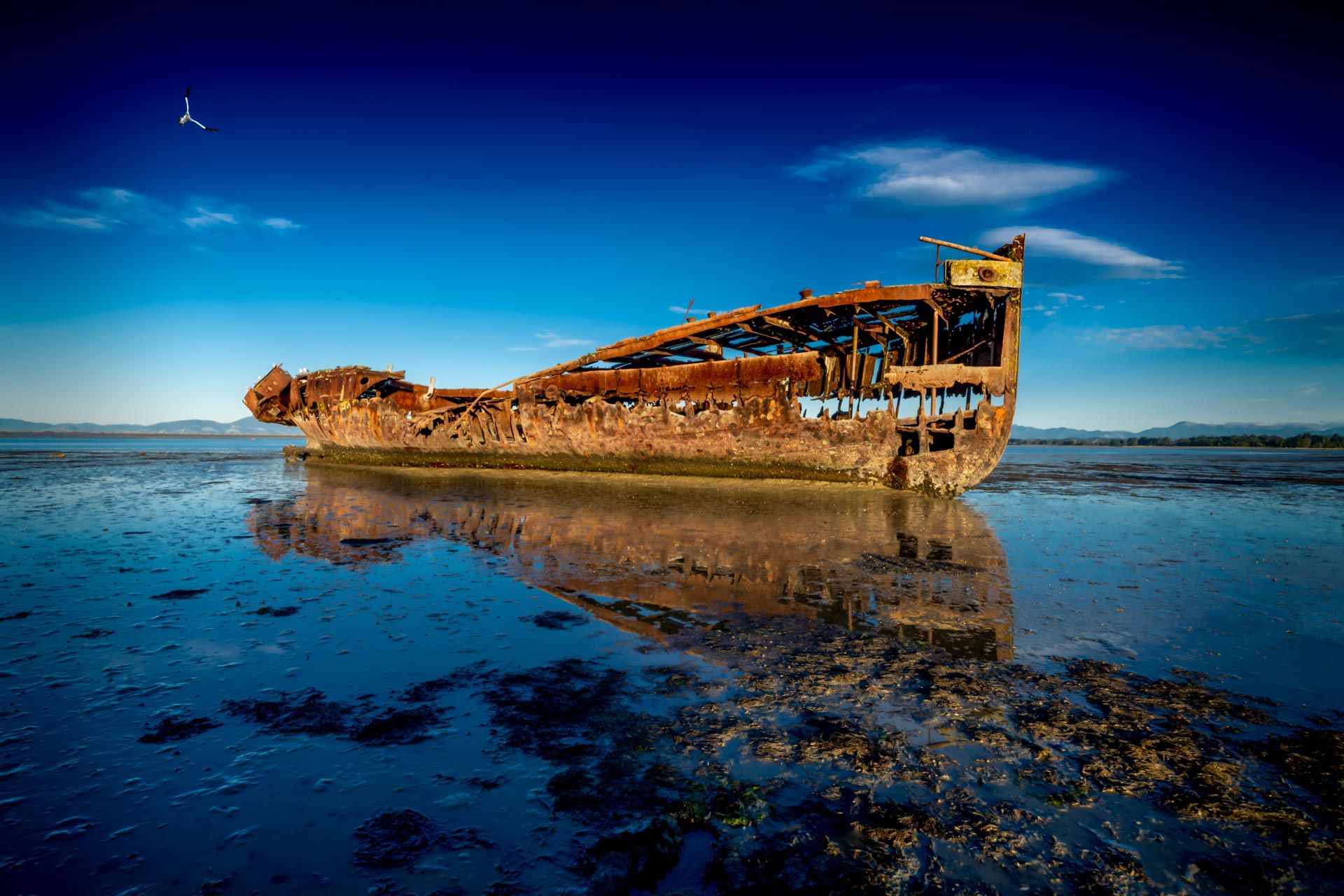 Motueka Shipwreck