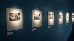 Faces of Humanity Exhibition