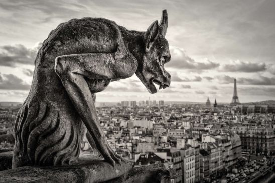 The Gargoyle Notre Dame Cathedral