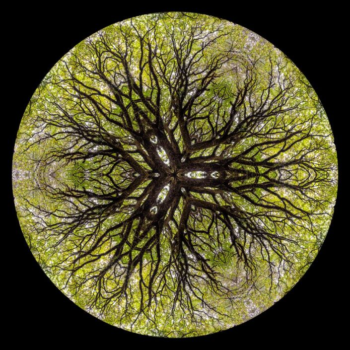Fine art photography Auckland