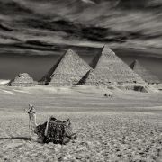 Egypt Pyramid of Giza
