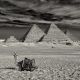 Egypt Pyramid of Giza