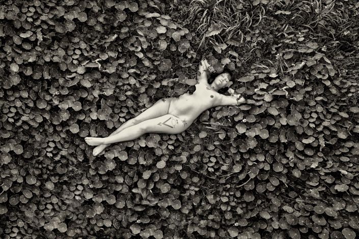 Nude Photography Auckland